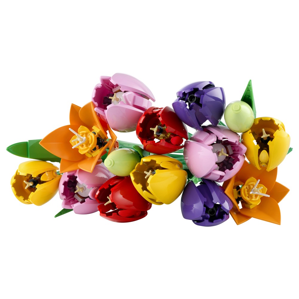 LEGO Botanicals Bouquet di tulipani - 11501