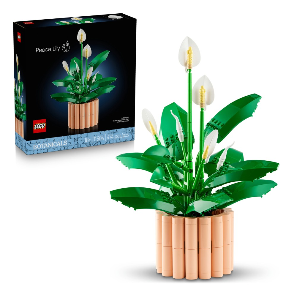 LEGO Botanicals Spatifillo - 11504