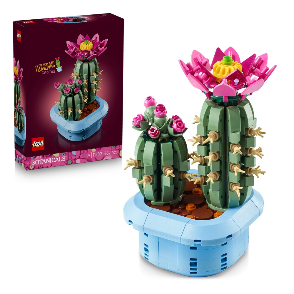 LEGO Botanicals Cactus in fiore - 11509