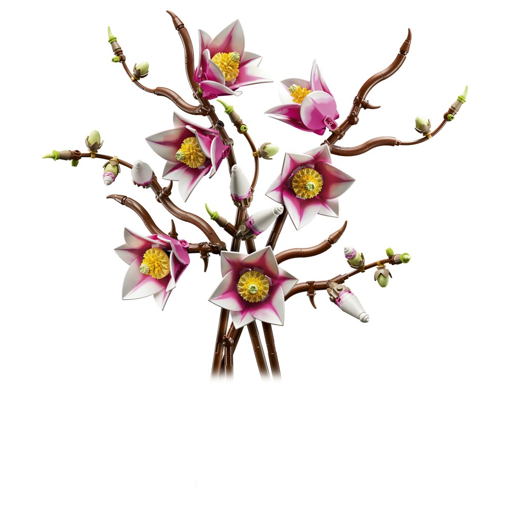 LEGO Botanicals Rametti di magnolia - 11510