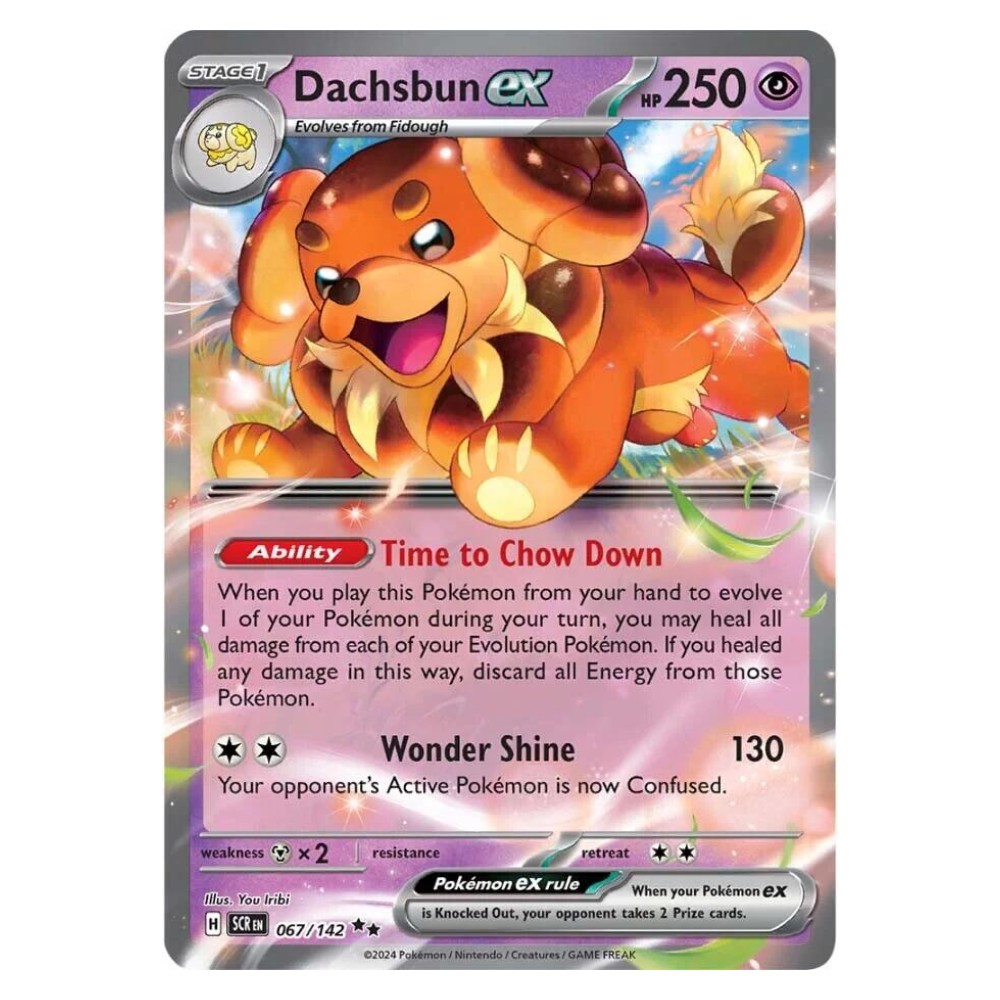 Dachsbun ex - 067/142 