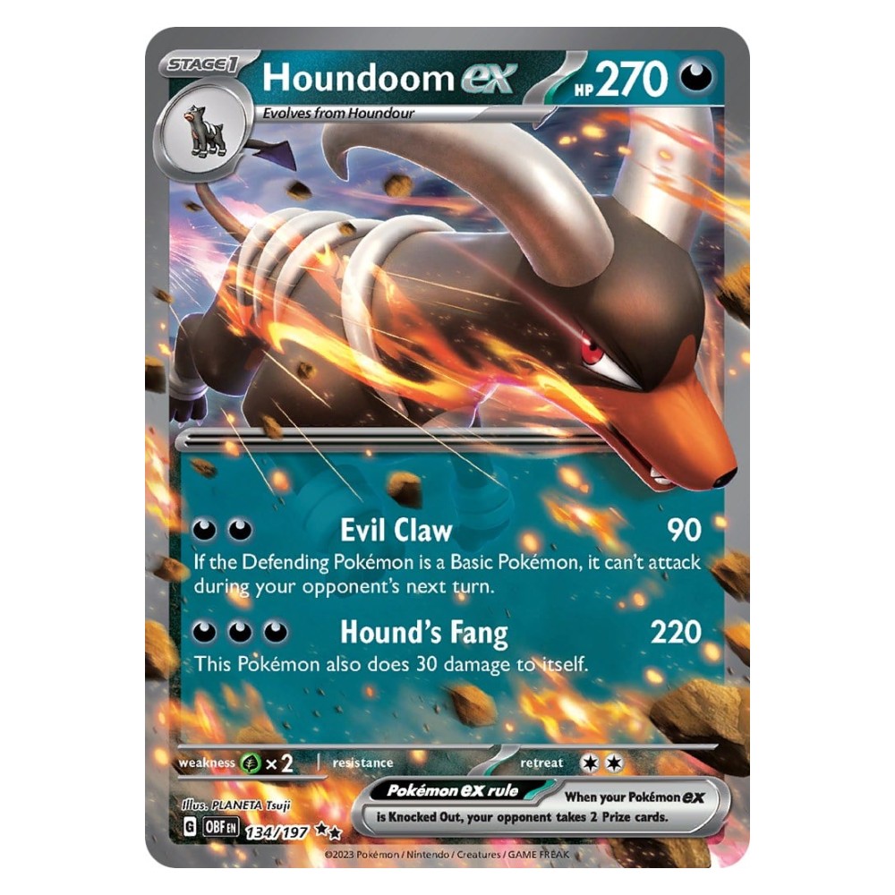 Houndoom ex - 134/197 