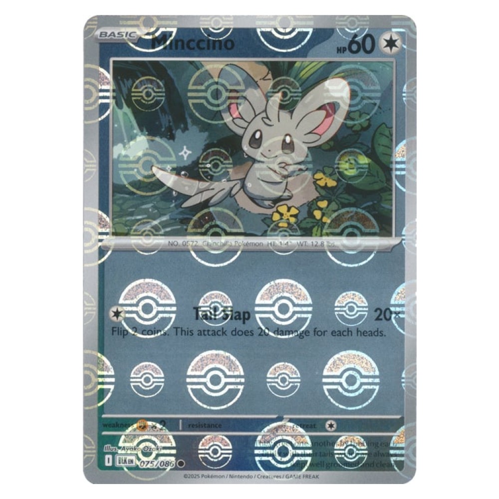 Minccino - Poké Ball Reverse Holo | 075/086 