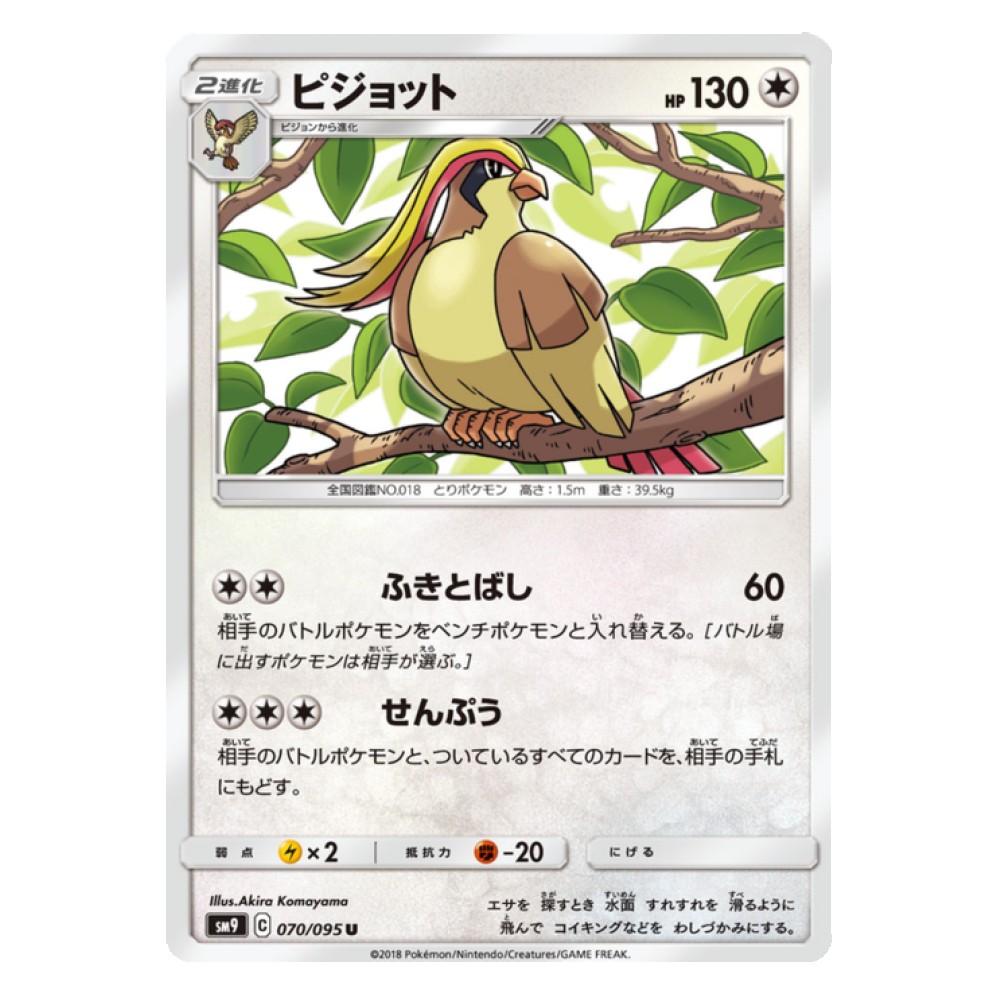 Pidgeot - 70/095 