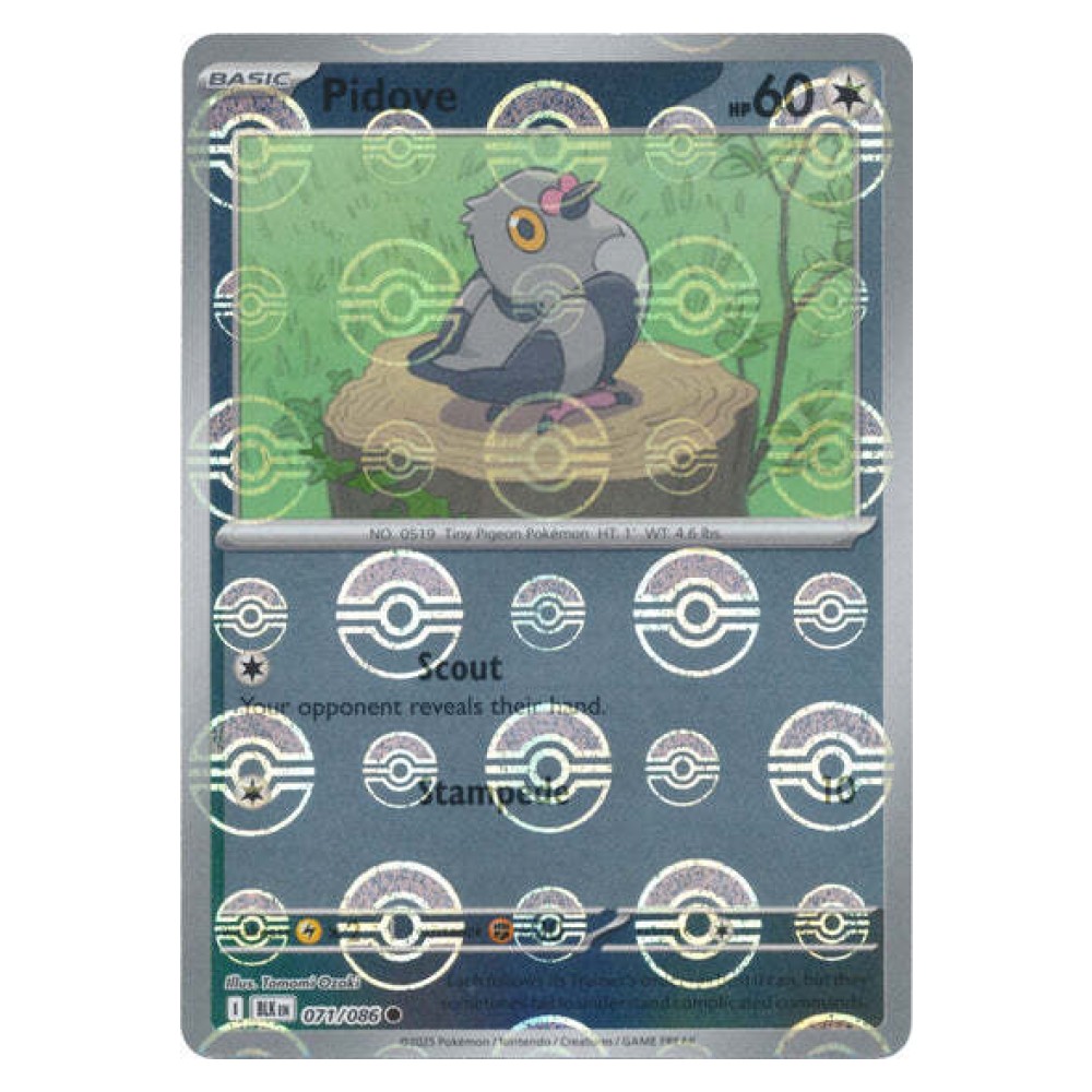 Pidove - Poké Ball Reverse Holo | 071/086 